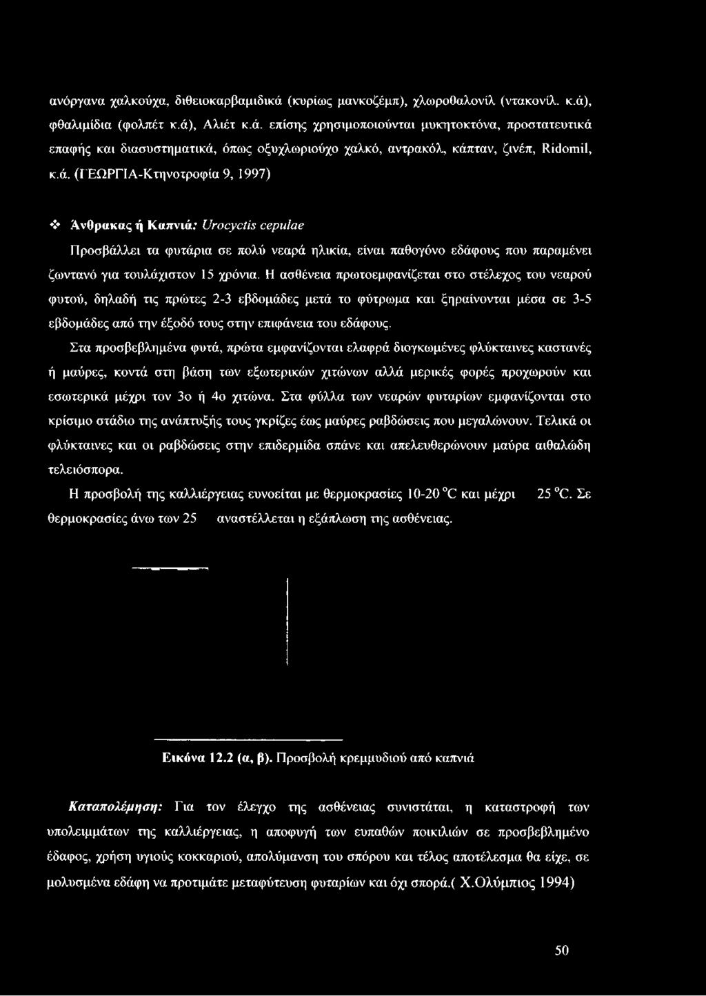 Η ασθένεια πρωτοεμφανίζεται στο στέλεχος του νεαρού φυτού, δηλαδή τις πρώτες 2-3 εβδομάδες μετά το φύτρωμα και ξηραίνονται μέσα σε 3-5 εβδομάδες από την έξοδό τους στην επιφάνεια του εδάφους.