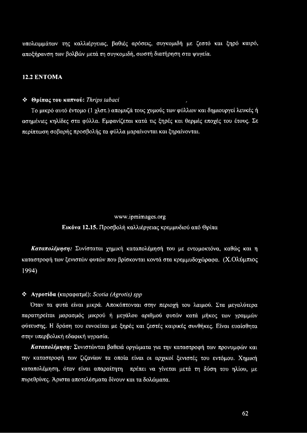 Εμφανίζεται κατά τις ξηρές και θερμές εποχές του έτους. Σε περίπτωση σοβαρής προσβολής τα φύλλα μαραίνονται και ξηραίνονται. www.ipmimages.org Εικόνα 12.15.