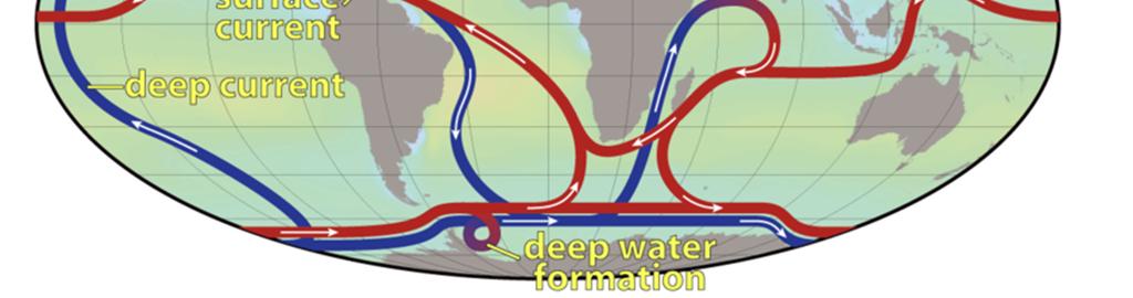 Δηλαδή είναι μια κυκλοφορία που επηρεάζεται από τη διαφορά στην πυκνότητα των υδάτων. Η διαδικασία είναι ότι επιφανεικά θερμά νερά από τον ατλαντικό ωκεανό κινούνται προς τους πόλους.