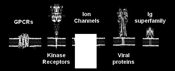 Viral