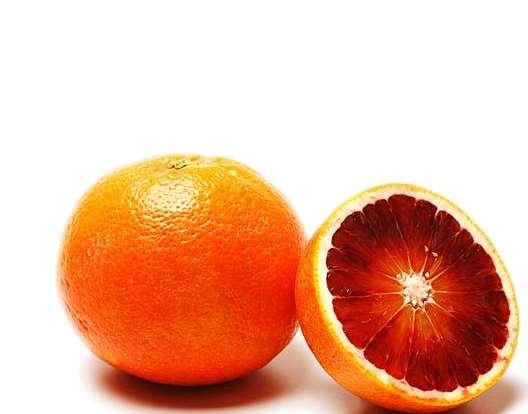 Πορτοκαλιά Citrus