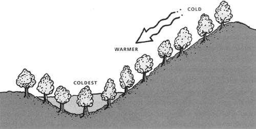 69 Ο θερμότερος (warmer) αέρας επειδή είναι ελαφρύτερος συσσωρεύεται στα ανώτερα στρώματα του αέρα, ενώ ο ψυχρότερος (coldest)