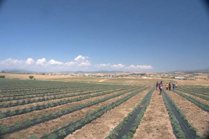 Τεχνική υποστήριξη για καινοτόμα