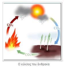 Κεφάλαιο 1 Βιομάζα 1.1 Ορισμός Κάθε οργανικό υλικό ή αλλιώς κάθε βιοαποικοδομήσιμο υλικό, φυσικής προέλευσης μπορεί να θεωρηθεί βιομάζα. Σύμφωνα με την Ελληνική νομοθεσία (Ν.