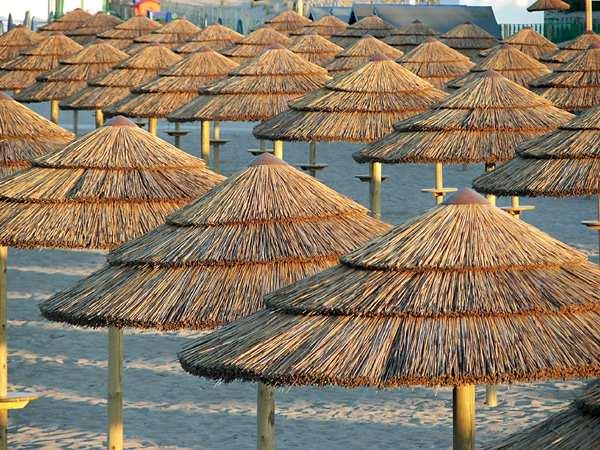 Οµπρέλα THATCH µε υλικό 80x42cm Mεγάληςαντοχήςστονχρόνοκαιστιςκαιρικέςσυνθήκες.