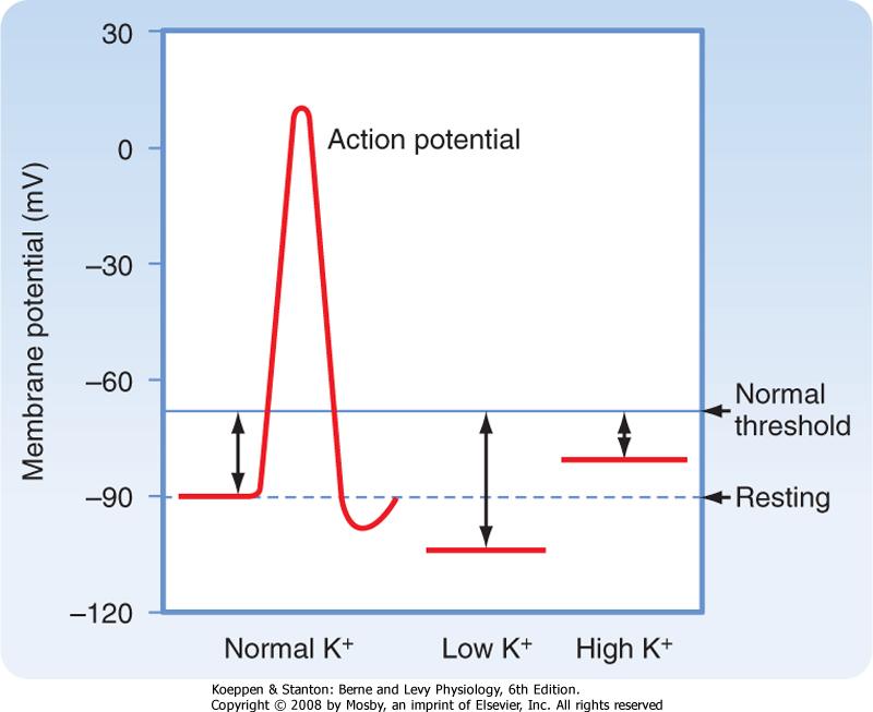 HIPERPOTASEMIA consecinte fiziopatologice In hiperk: scade raportul concentratiei IC/EC a K + ceea ce crește inițial excitabilitatea membranei e nevoie de un stimul de depolarizare mai putin intens
