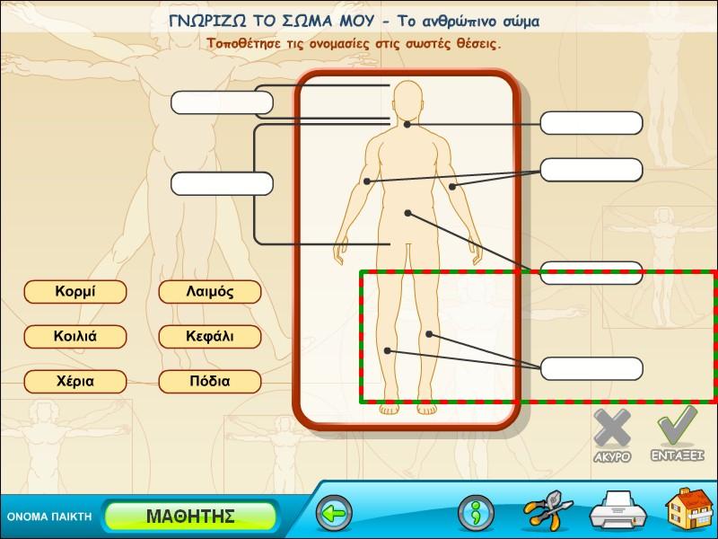 μερών του σώματος στη σωστή θέση.