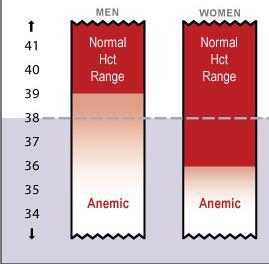 Αναιμία o Αιματοκρίτης (<40%