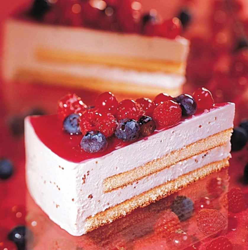 Semifreddo Mousse Yogurt & Forest Fruits Semifreddo μους γιαούρτι με φρούτα του δάσους Β1437 900 γρ.