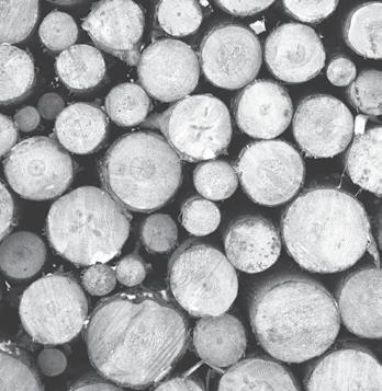 Είναι προτιμότερο να προμηθεύεστε τα ξύλα σας κατά τους καλοκαιρινούς μήνες και να τα αποθηκεύετε έτσι ώστε να διασφαλίζετε καλύτερη ποιότητα καύσης κατά τη διάρκεια του χειμώνα.