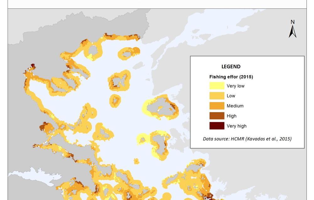 Επίσης στην περιοχή του Σαρωνικού είναι νηολογημένα 1034 επαγγελματικά αλιευτικά σκάφη μέσης και παράκτιας αλιείας (897 στην ευρύτερη περιοχή που επηρεάστηκε από την πετρελαιοκηλίδα) αν και δεν είναι