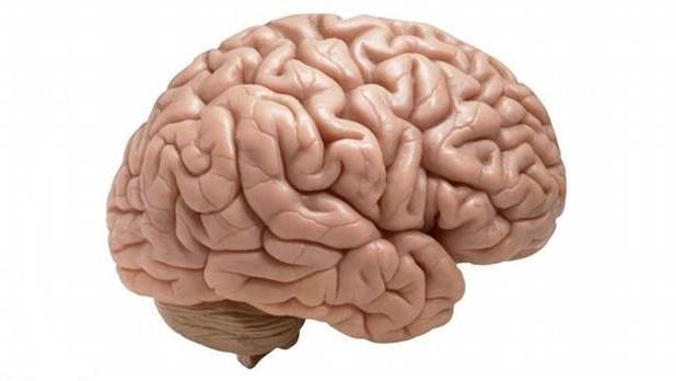 ΚΕΦΑΛΑΙΟ 1 Ο ΑΝΘΡΩΠΙΝΟΣ ΕΓΚΕΦΑΛΟΣ 1.1 Φυσιολογία εγκεφάλου Ο ανθρώπινος εγκέφαλος (σχήμα 1.