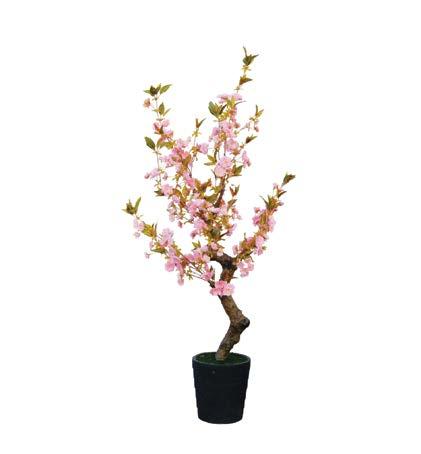 ΡΟΔΑΚΙΝΙΑ PEACH TREE YΨΟΣ ΗΕΙGHT: 230cm