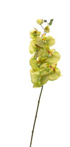 7-0140 ΟΡΧΙΔΕΑ ORCHID YΨΟΣ ΗΕΙGHT: 102cm 7-0141 ΟΡΧΙΔΕΑ ORCHID YΨΟΣ ΗΕΙGHT: 102cm 7-0136