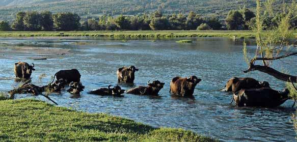 2η ΗΜΕΡΑ: Πρωινό και αναχώρηση για ΣΟΥΡΩΤΗ, για να επισκεφθούμε την ΙΕΡΑ ΜΟΝΗ ΑΓΙΟΥ ΙΩΑΝΝΟΥ ΤΟΥ ΘΕΟΛΟΓΟΥ. Η Ιερά Μονή είναι αφιερωμένη στον Άγιο Ιωάννη τον Θεολόγο και στον Άγιο Αρσένιο τον Καππαδόκη.