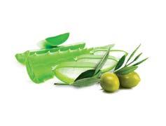 Bio Olive Oil Ξηρό λάδι πολλαπλής χρήσης για πρόσωπο + μαλλιά + σώμα με λάδι αβοκάντο