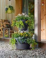 Ακόμη και σε περιορισμένο χώρο, δημιουργήστε και απολαύστε τον δικό σας κήπο με μικρές απαιτήσεις