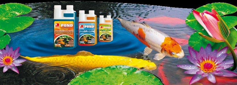 DP510C 500 500 / 16,91 Ayuda a mantener el ambiente en su estanque de jardín en un estado ideal para la vida de sus peces y plantas. Contiene vitamina B1 y yodo activo.