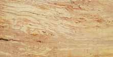 Οι οργανισμοί που προσβάλλουν το ξύλο ανήκουν κυρίως σε δύο κατηγορίες: α) τους μύκητες (φυτικοί οργανισμοί) και β) τα έντομα (κάνθαροι ή σαράκια και τερμίτες).