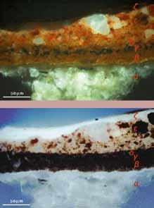 5: Φάσματα μraman της κίτρινης ώχρας (α) και του orpiment (β), από το στρώμα του προπλασμού του χεριού του Προδρόμου. Φωτ.