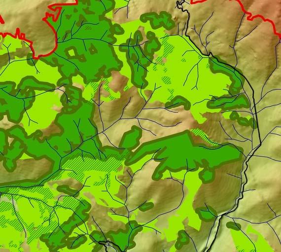 εκτάσεις προς αποκατάσταση Habitat Green islands type Mediterranean and with isolated their 50 Black m pine buffer forests pine