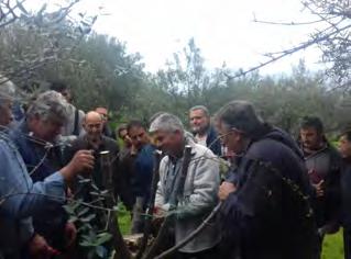 παρείχε για 2η χρονιά στους παραγωγούς επιστημονική υποστήριξη από εξειδικευμένους συμβούλους για την ορθολογική χρήση του αρδευτικού νερού.