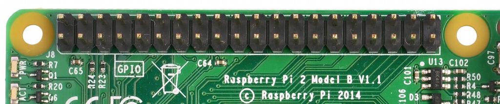 Raspberry