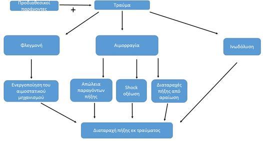 Εικόνα 9.3 Παθοφυσιολογία της διαταραχής της πήξης σε τραύμα.