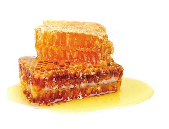 Σε μερίδες ή σε επαγγελματικές συσκευασίες το εξαιρετικής ποιότητας μέλι θα εντυπωσιάσει.