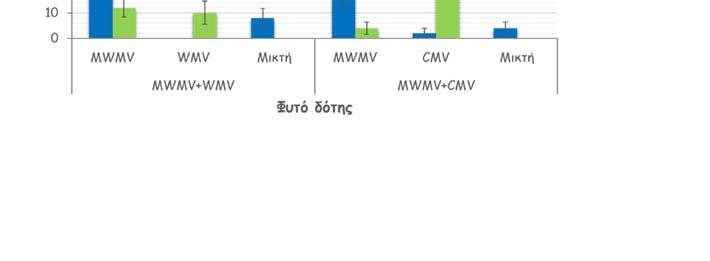 Ταυτόχρονη μετάδοση των MWMV+WMV και MWMV+CMV σημειώθηκε μόνο με το είδος M. persicae, με ποσοστά μετάδοσης 8,0±3,7% και 4,0±2,4%, αντίστοιχα ενώ για το είδος A.