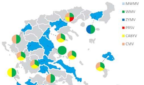 2.3.5 Συχνότητα εμφάνισης ιών σε καλλιέργειες πεπονιάς Συλλογή δειγμάτων πεπονιάς πραγματοποιήθηκε μόνο τα έτη 2013 και 2014, από 14 νομούς της χώρας (Εικόνα 2.