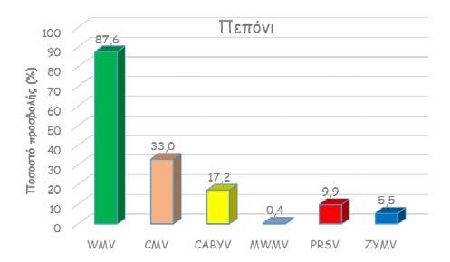 Εξίσου σημαντική ήταν η παρουσία των CMV (33%) και CABYV (17,2%), ενώ η συχνότητα εμφάνισης των PRSV (9,9%) και ZYMV (5,5%) ήταν πολύ χαμηλή, από δείγματα που προέρχονταν κυρίως από το νομό Ηλείας