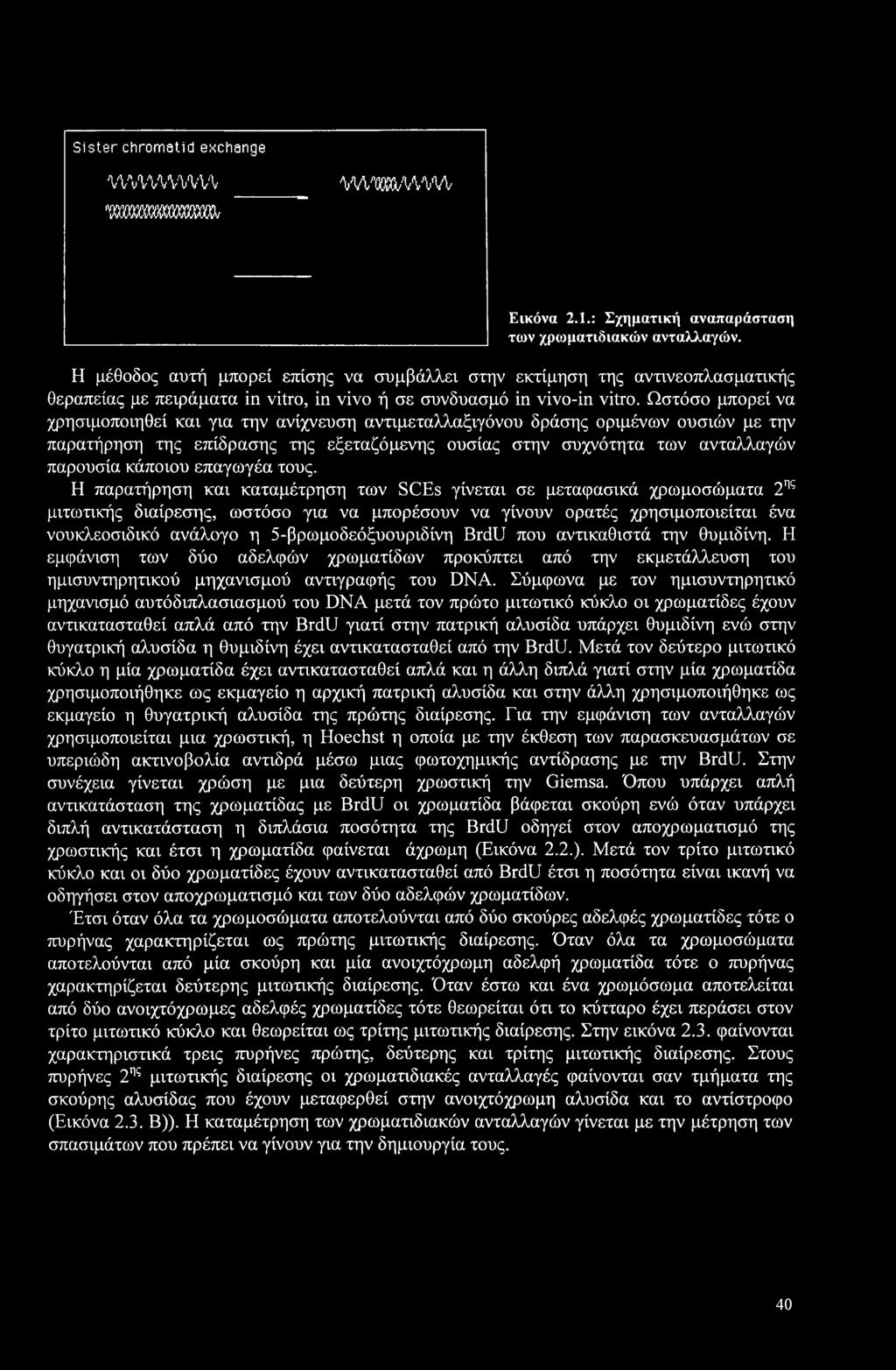 Ωστόσο μπορεί να χρησιμοποιηθεί και για την ανίχνευση αντιμεταλλαξιγόνου δράσης οριμένων ουσιών με την παρατήρηση της επίδρασης της εξεταζόμενης ουσίας στην συχνότητα των ανταλλαγών παρουσία κάποιου
