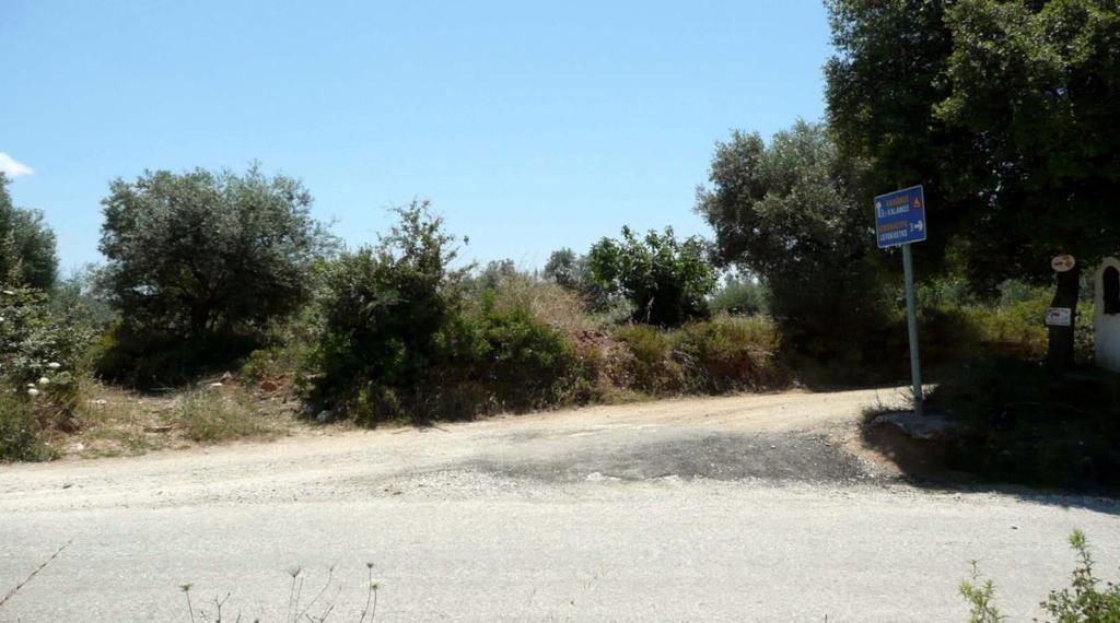 Το καλντερίμι ενώνεται με το χωματόδρομο. Μετά από 60 μέτρα και κάτι ο χωματόδρομος στρίβει απότομα αριστερά και τον αγνοούμε, βαδίζοντας πάντοτε στην ίδια κατεύθυνση στο στενό μονοπάτι/καλντερίμι.