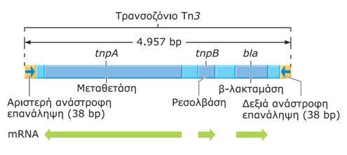 Μεταθετά στοιχε