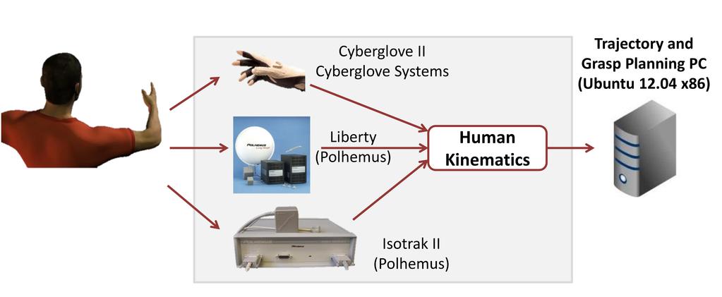 The position tracker reference system is placed on the shoulder. The human arm joint values can be computed through the human arm s inverse kinematics.