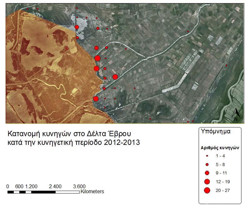 Wide Fund for Nature et al. 1999) και ενδεχομένως να είναι ένας από τους λόγους που το είδος έχει πολλά χρόνια να καταγραφεί σε αυτή την περιοχή.