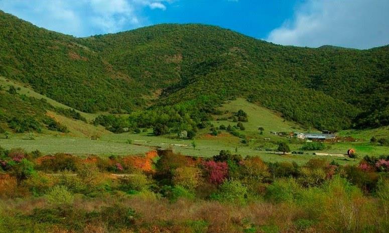 . Είναι χτισμένος σε υψόμετρο 200 μέτρων περίπου, δίπλα από τον ποταμό Ονόχωνο ή Σοφαδίτη, κατά μήκος του οποίου υπάρχει μικρός βιότοπος.