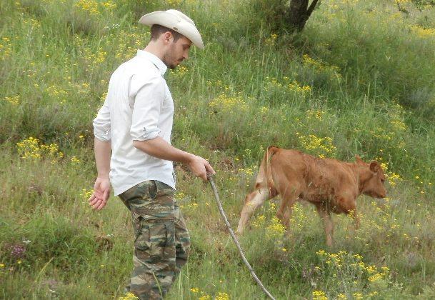 Η κοπριά η οποία συλλέγεται από τους στάβλους συγκεντρώνεται αρχικά σε σωρούς, ωστόσο παραµένει ανεκµετάλλευτη λόγω ελλείψεως µηχανικού