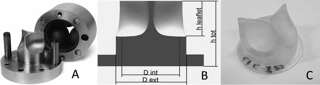 602 - a r nta ara t r sati n Fig. 1 - (A) A n (B) s t an (C) t r f - a ns ns ar : a t 10 10 9 ; t t 21 ; nt 21 ; t 28 ; tiss ann s a t r ( A ) 21 ; t n ss a t 0 36 0 2 Fig.