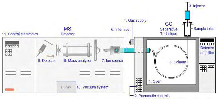 Το πρόγραμμα θερμοκρασίας του φούρνου του αέριου χρωματογράφου ήταν το ακόλουθο: 40⁰C για 5 min, άνοδος στους 150⁰C (4 C /min) και άνοδος στους 250⁰C (30 C /min).