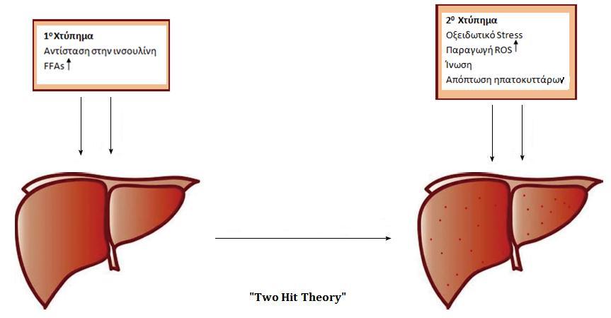 1.4 ΠΑΘΟΓΕΝΕΙΑ H παθογένεια της ηπατικής στεάτωσης δεν είναι πλήρως γνωστή, αλλά κεντρικό ρόλο διαδραματίζουν η αντίσταση στην ινσουλίνη και η δυσλειτουργία των μιτοχονδρίων (10-15).