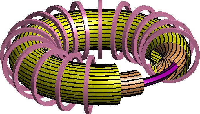 Tokamak toroidale