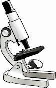 Cytológia Súvisí s vývojom a zdokonalením mikroskopu 1610- G. Galilei zostrojil 1.