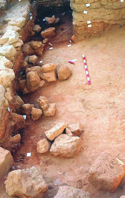 Εικ. 2. Χανιά, Ανασκαφή «Κατρέ 1». 2α. Εκτεταμένος αύλειος χώρος της υστερομινωικής ΙΙΙΒ περιόδου (1300 π.χ. περίπου) με διάσπαρτους λιθοσωρούς (2β) που κάλυπταν σφάγια ζώων (2γ).