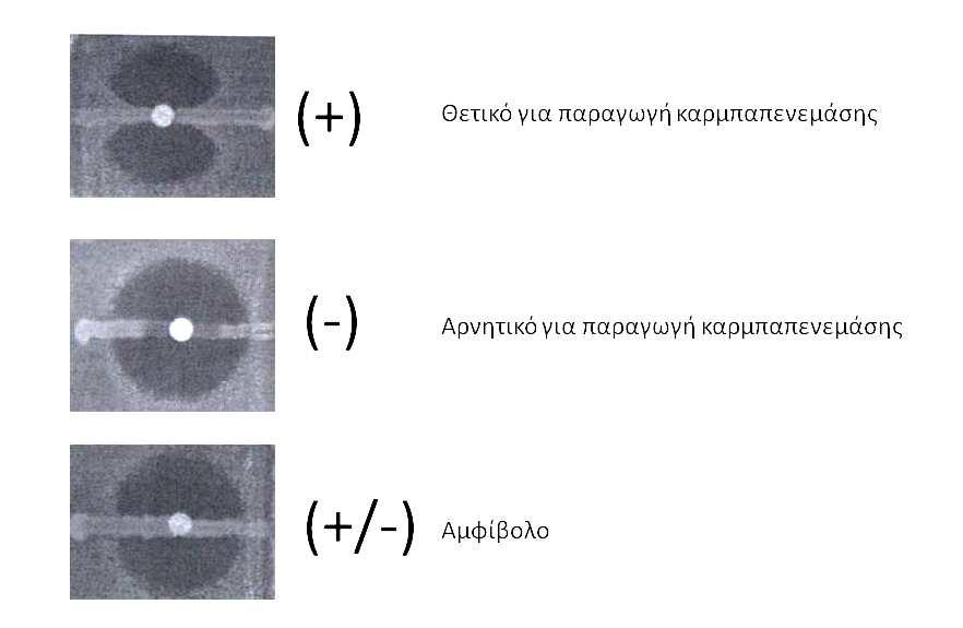 Για τη διενέργεια της, ενοφθαλµίζεται εναιώρηµα 0,5 McFarland πρότυπου στελέχους E. coli ATCC 25922, το οποίο είναι εξ ορισµού ευαίσθητο στις καρµπαπενέµες, σε Mueller-Hinton άγαρ.