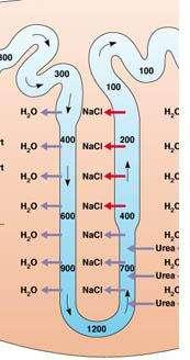 αδιαπέραστο NaCl Ανιόν