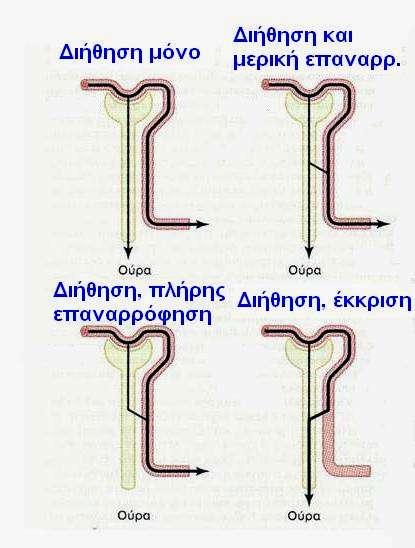 ασβεστίου και τα λιπαρά οξέα συνδέονται με λευκώματα Φάρμακα και