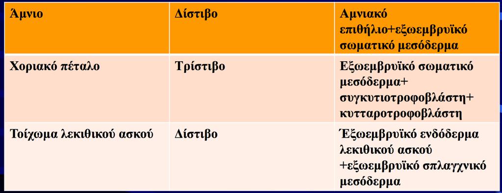 Ανάπτυξη του πλακούντα κατά την πρώιμη και την όψιμη εμβρυϊκή περίοδο Ήδη αναφέραμε ότι τη 2η εβδομάδα της εμβρυϊκής ανάπτυξης σχηματίζονται οι πρωτογενείς λάχνες.