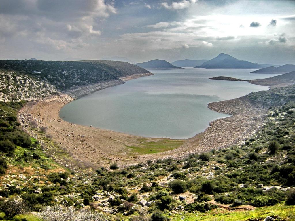 Παραλίμνη, τον ποταμό Κηφισσό, τον ποταμό Μέλανα και τις πηγές των Χαρίτων, θεωρείται σε Ευρωπαϊκό επίπεδο περιοχή σημαντική για τα πουλιά, ενώ αποτελεί το νοτιότερο σημείο φωλιάσματος των